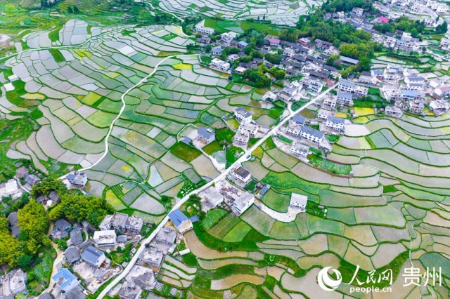 �����F��л�Ϫ�^(q��)��������������W(w��ng)ӛ�� Ϳ���z